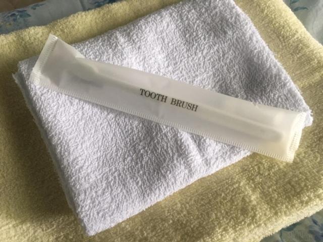 Narita Airport Samurai Hostel Kujukuri Zewnętrze zdjęcie